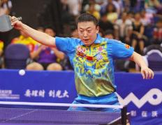 IM体育在线注册-包含奥地利乒乓球队险胜中国乒乓球队，波尔打破历史纪录的词条