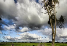 IM体育社区互动入口-莱比锡红牛强势拿下加拿大，弗拉霍维奇成关键先生，一场战术与意志的胜利