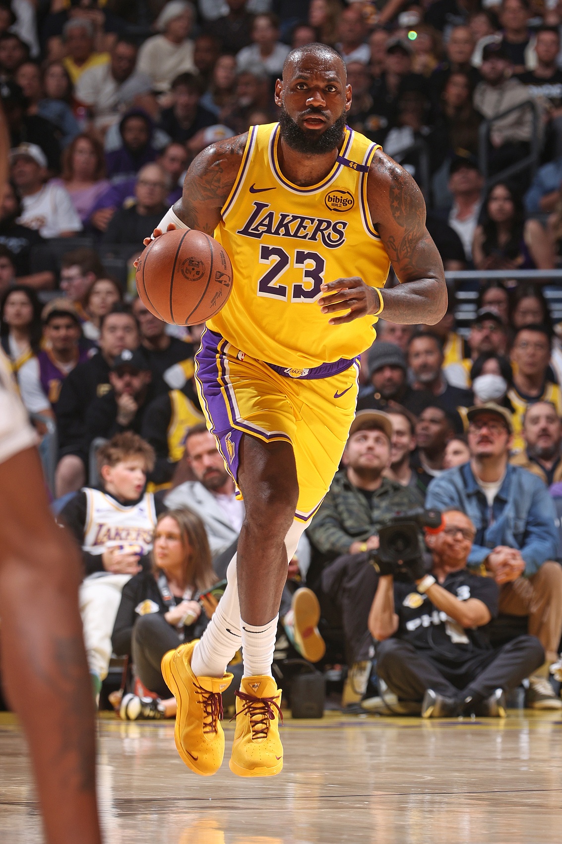 IM体育App下载-詹姆斯受伤缺席，湖人阵容遭遇考验，球队备战备战季后赛的简单介绍